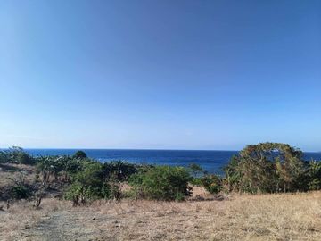 5 hectares beach front for sale in CALATAGAN Batangas wide frontage