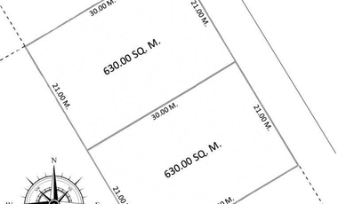 1,260sqm Residential/Commercial Lot With Structure FOR SALE in New Manila, QC