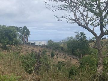For Sale: Residential Lots with Ocean and Mountain View, Ajong, Sibulan