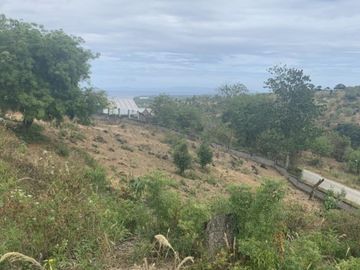 For Sale: Residential Lots with Ocean and Mountain View, Ajong, Sibulan