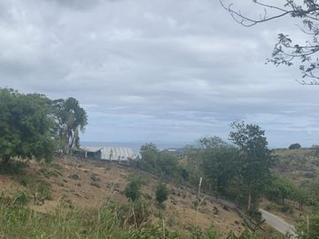 For Sale: Residential Lots with Ocean and Mountain View, Ajong, Sibulan