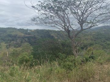 For Sale: Residential Lots with Ocean and Mountain View, Ajong, Sibulan