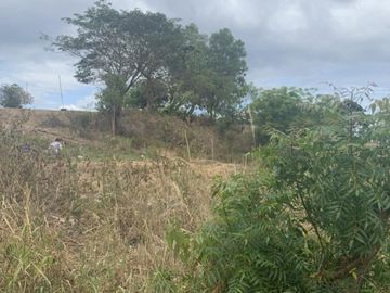 For Sale: Residential Lots with Ocean and Mountain View, Ajong, Sibulan