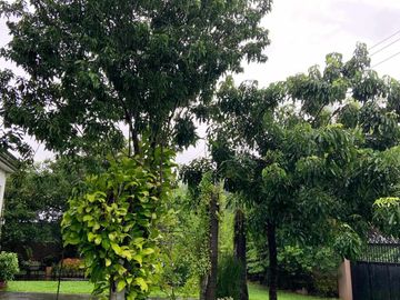 Natividad 4BR, clean title in Guagua, Pampanga for Sale