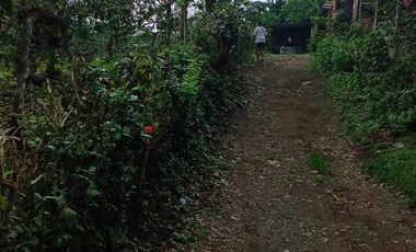 5,000 sqm LOT in Guinhawa North, Tagaytay for SALE for 3k per sqm negotiable!
