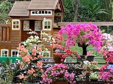 Beautiful House in Subic Bay for Sale