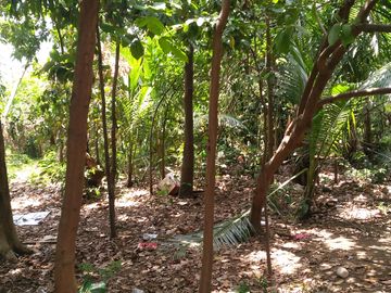 Titled house and lot in Tanauan City with wide frontage along a two way road. accessible through Tanauan exit vua Star Toll Way.