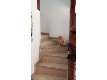 VENDO CASA  DUPLEX SECTOR UNICO DOSQUEBRADAS