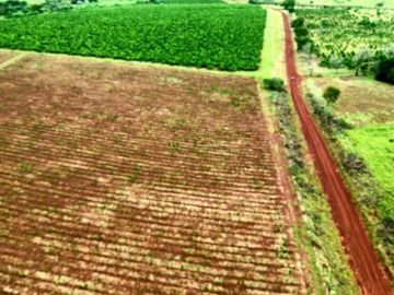 Venta, Campo, 72 hectáreas, Corral, Arroyo, Garruchos, Corrientes