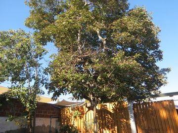 Casa en Venta en Dos cuadras de Plaza maipú