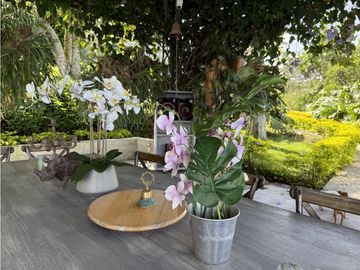 VENTA FINCA FREDONIA, SUROESTE ANTIOQUEÑO AGROPECUARIA