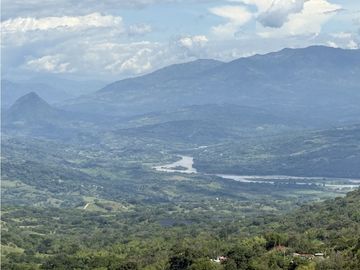VENTA FINCA FREDONIA, SUROESTE ANTIOQUEÑO AGROPECUARIA