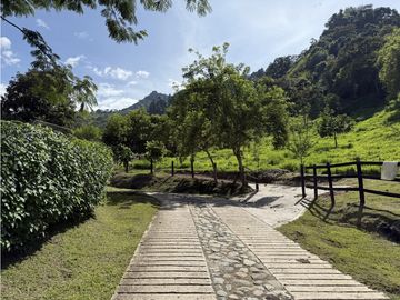 VENTA FINCA FREDONIA, SUROESTE ANTIOQUEÑO AGROPECUARIA