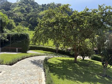 VENTA FINCA FREDONIA, SUROESTE ANTIOQUEÑO AGROPECUARIA