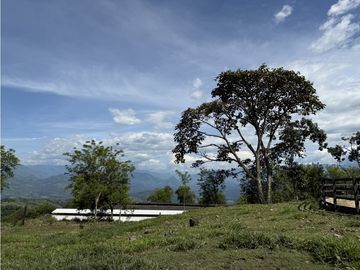 VENTA FINCA FREDONIA, SUROESTE ANTIOQUEÑO AGROPECUARIA