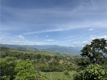 VENTA FINCA FREDONIA, SUROESTE ANTIOQUEÑO AGROPECUARIA