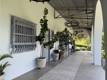 VENTA FINCA FREDONIA, SUROESTE ANTIOQUEÑO AGROPECUARIA