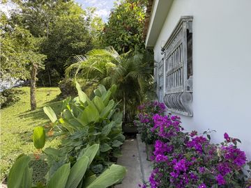 VENTA FINCA FREDONIA, SUROESTE ANTIOQUEÑO AGROPECUARIA