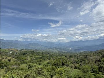 VENTA FINCA FREDONIA, SUROESTE ANTIOQUEÑO AGROPECUARIA