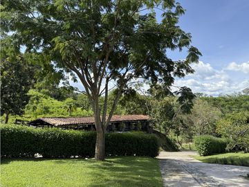 VENTA FINCA FREDONIA, SUROESTE ANTIOQUEÑO AGROPECUARIA