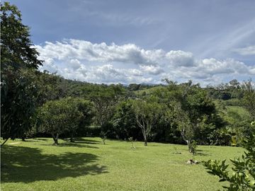 VENTA FINCA FREDONIA, SUROESTE ANTIOQUEÑO AGROPECUARIA