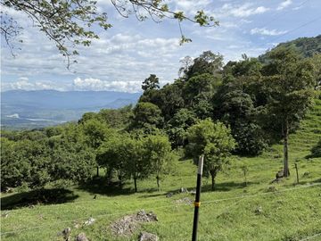 VENTA FINCA FREDONIA, SUROESTE ANTIOQUEÑO AGROPECUARIA