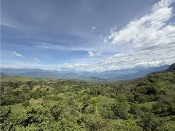 VENTA FINCA FREDONIA, SUROESTE ANTIOQUEÑO AGROPECUARIA
