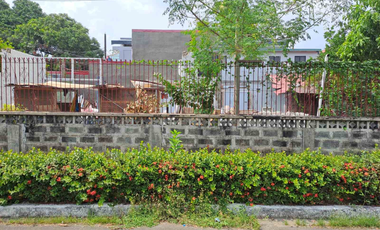 314sqm Corner Lot FOR SALE in North Caloocan, Near MRT-7 & Fairview Malls