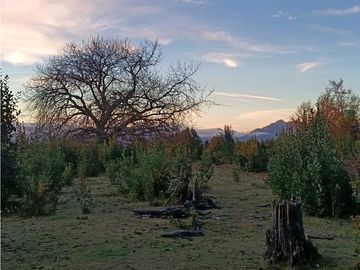 Vista al Lago y Volcan Villarrica
