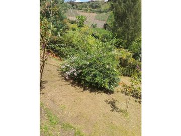 Venta de finca en Marinilla Las Mercedes