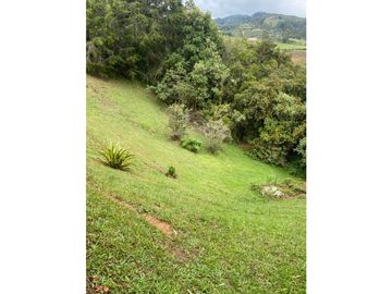 Venta de finca en Guarne vereda la Mejía