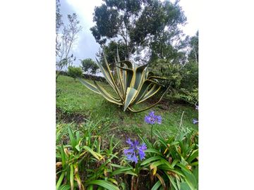 Venta de finca en Guarne vereda la Mejía