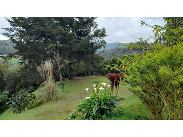 Venta de finca en Guarne vereda la Mejía