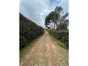 Venta de finca en Guarne vereda la Mejía