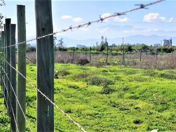 Venta de sitio de 29.375 m2., loteo dividido en 5 parcelas, con 4 canchas de Padel, en Quillota.