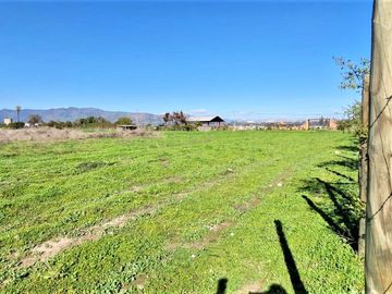 Venta de sitio de 29.375 m2., loteo dividido en 5 parcelas, con 4 canchas de Padel, en Quillota.