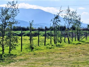Venta de sitio de 29.375 m2., loteo dividido en 5 parcelas, con 4 canchas de Padel, en Quillota.