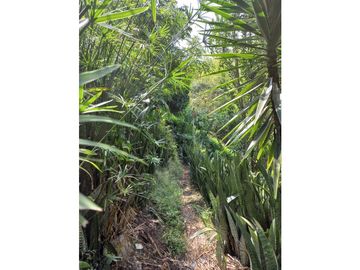 VENTA FINCA COMBIA
