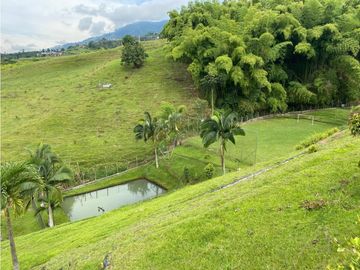 Vendo Casa Campestre -  Dosquebradas