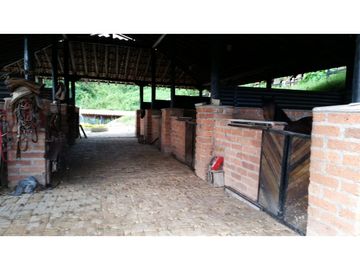 FINCA EN VENTA GANADERA AMAGA Y FREDONIA
