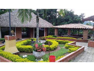 FINCA EN VENTA GANADERA AMAGA Y FREDONIA