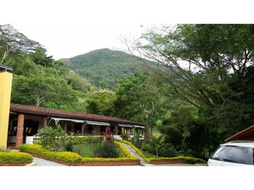 FINCA EN VENTA GANADERA AMAGA Y FREDONIA
