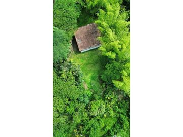 Venta de finca en Corconá vereda La Piñuela