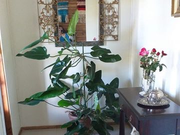 Rapaco/Alto San Isidro - Casa - Venta