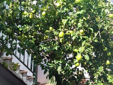 CASA EN VENTA 2 PLANTAS EN WILDE