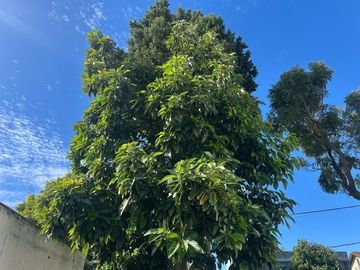 Venta casa en lote propio de 3 ambientes Boulogne