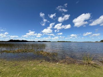 VENTA DE CAMPO PJE PASO FLORENTIN RP5 CORRIENTES