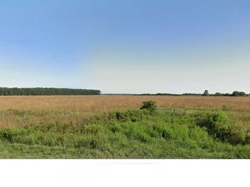VENTA DE CAMPO PJE PASO FLORENTIN RP5 CORRIENTES
