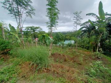 Rush for sale Residential lot in bypass road calamba