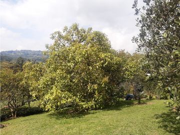 TM-450-Casa Campestre-Santa Elena-Vereda El Cerro